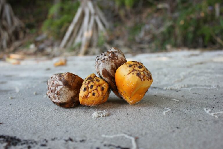 Tips & Tricks for the Best Travel Photography Is Here