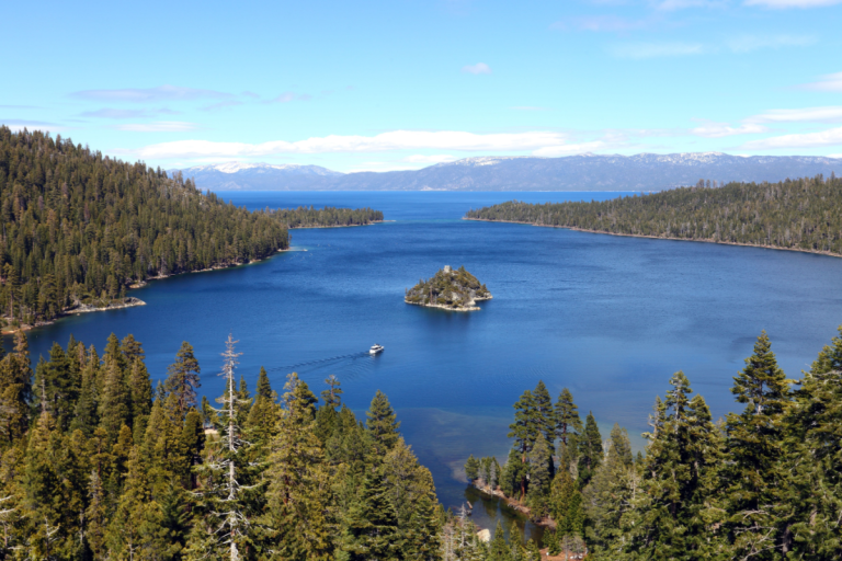 Plague Case Reported in South Lake Tahoe