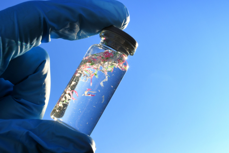 Microplastics in the Human Body Face Scientific Doubt
