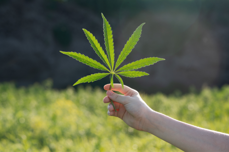 Study Links Teen Cannabis Use to Slower Cognitive Growth